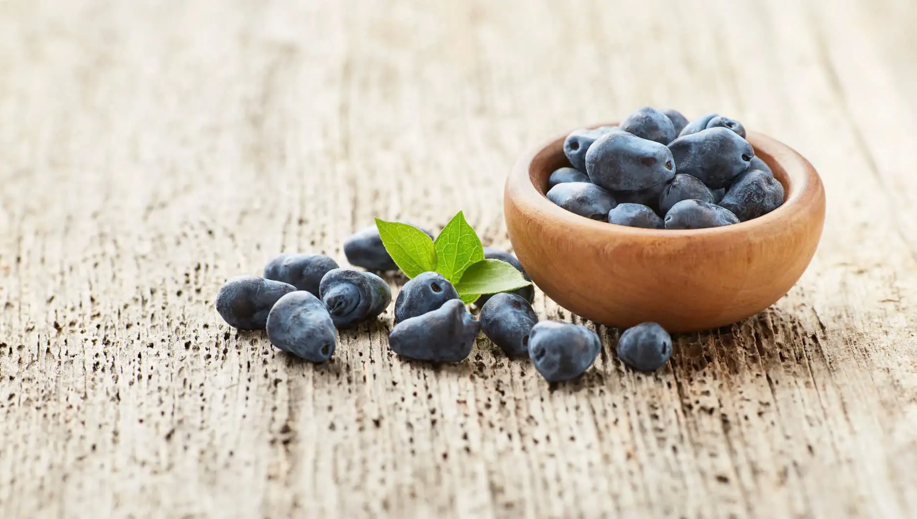 The Rare Summer Superfruit: Haskap Berries